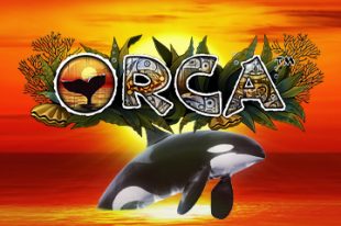 Orca